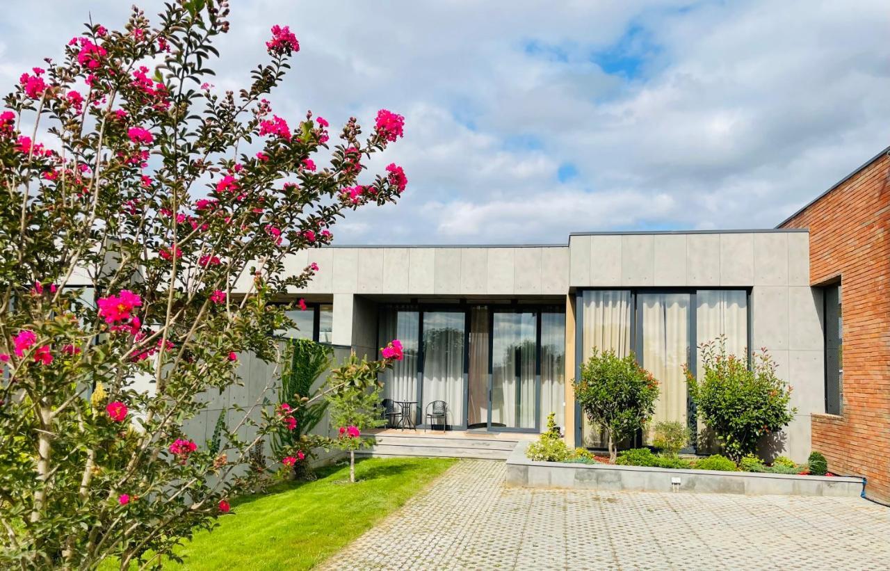 Villa, Kachreti Ambassador Golf Resort Kachretʼi Zewnętrze zdjęcie